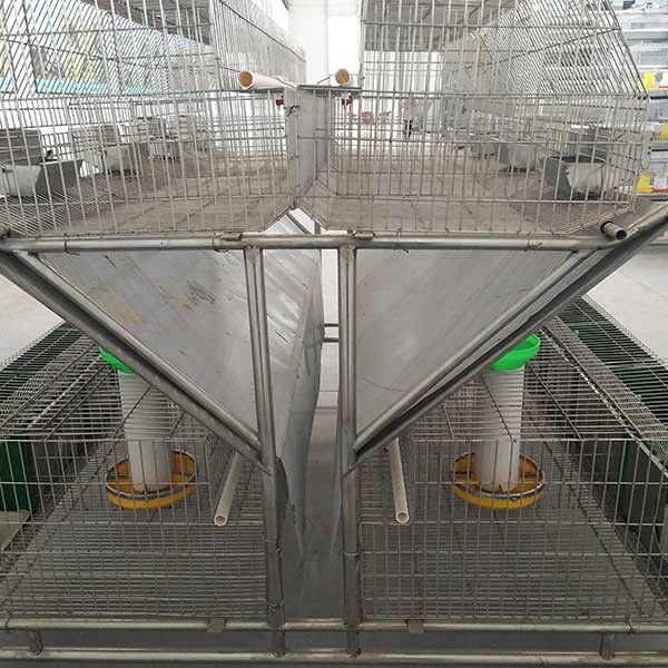alambre de acero de la jaula Q235 del conejo de la granja 2400 * de 2000 * de 1500m m/material plástico