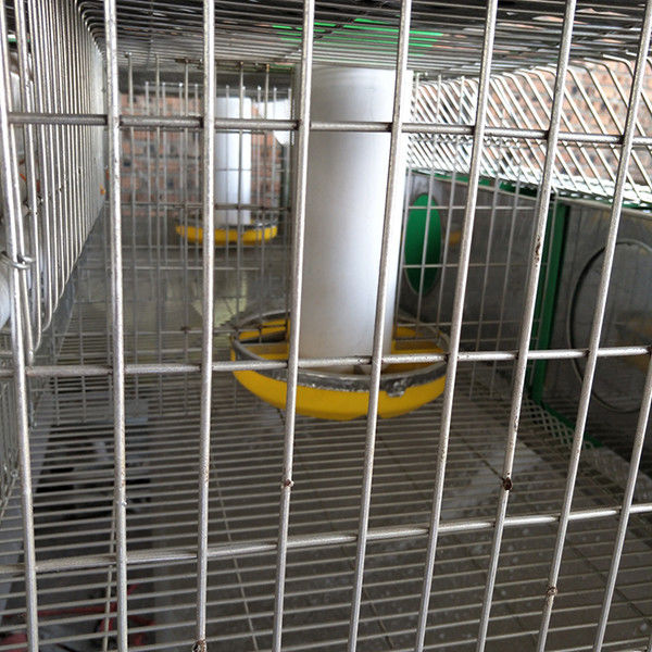 el aparador de conejo robusto de la altura de 1500m m, impermeabiliza la jaula enorme del conejito de 2 gradas