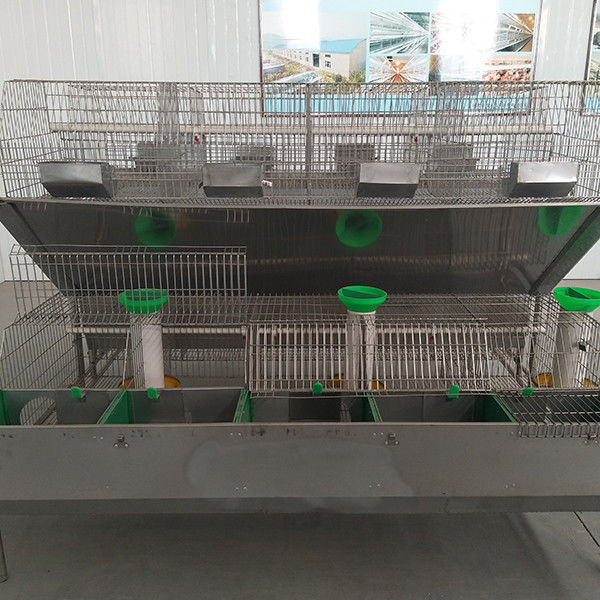 Alambre de acero Q235/jaula plástica del conejo, batería que actúa el aparador de conejo de lujo