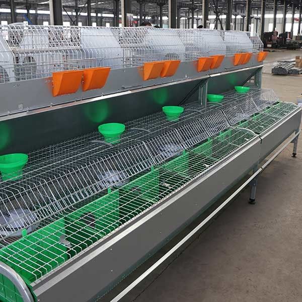 Alta jaula de batería del conejo de la eficacia que se alza, aparador de conejo del metal de 50 - 80 bebés