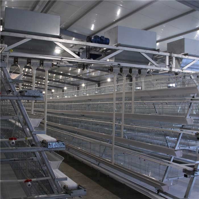 Alimentador de alta velocidad durable de la granja avícola, dispensador automático de la comida del pollo