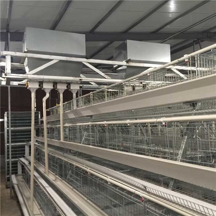 Alta confiabilidad del pequeño de la huella de las aves de corral sistema automático del alimentador fácil de utilizar