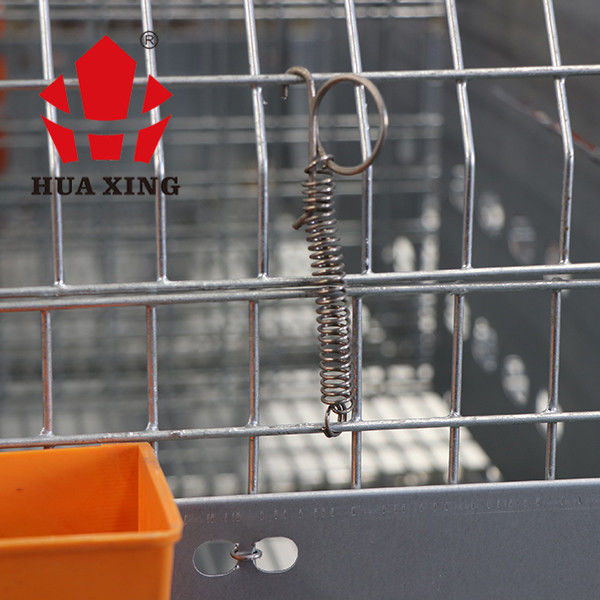Granja femenina galvanizada caliente del conejo de la jaula de las aves de corral del metal animal de la jaula que cría jaulas en Kenia