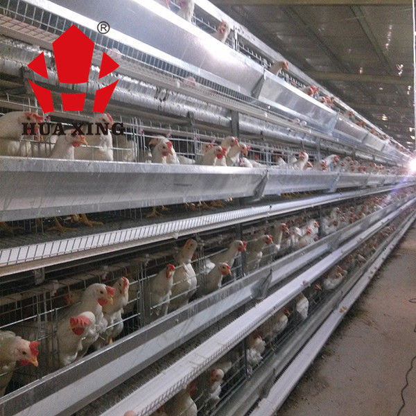 Jaula de colocación galvanizada caliente de Hen Farming Equipments Layer Chicken de los pájaros del fabricante 90 - 160 de la jaula