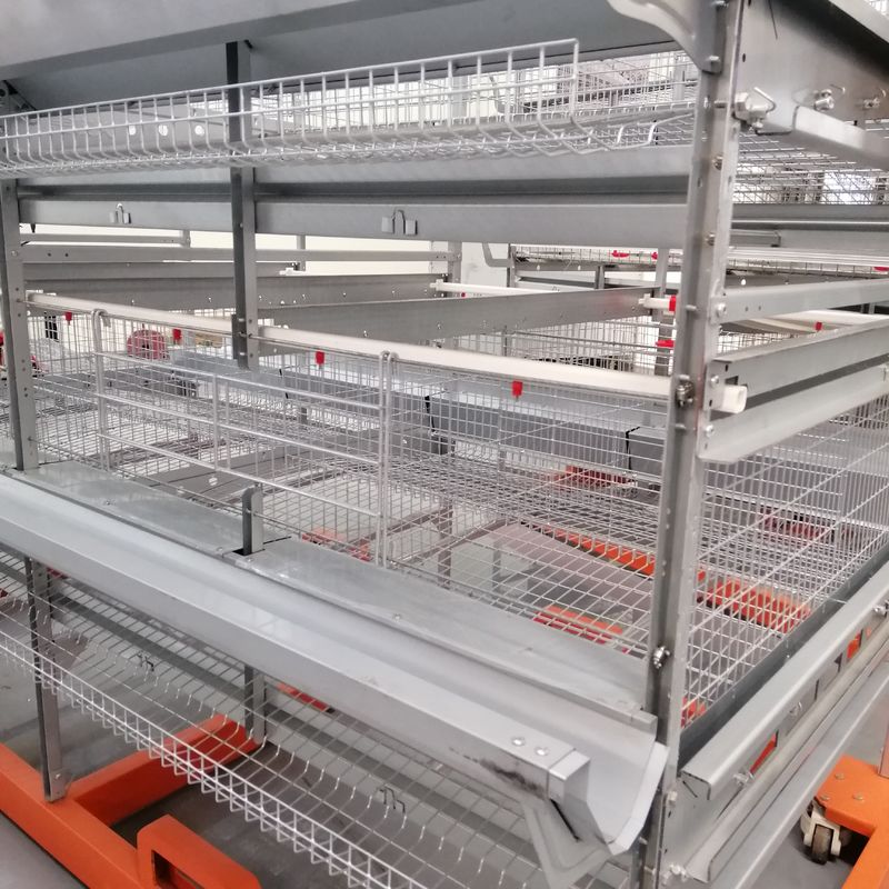 Las aves de corral de alta calidad Duck Cage, U forman la batería de acero Duck Cage For Sale