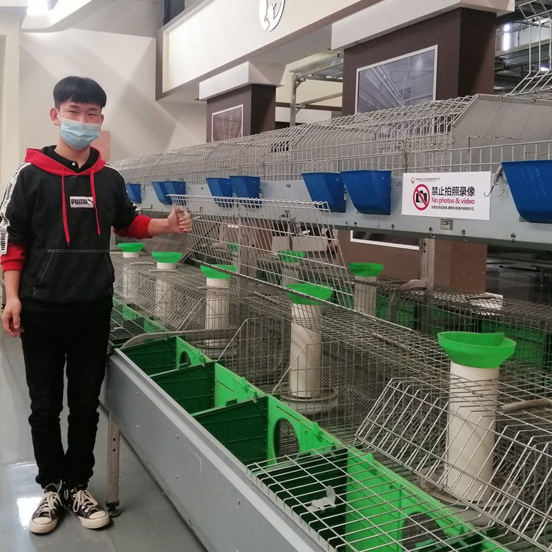 Jaula comercial galvanizada sumergida caliente del conejo de la batería de los equipos de la jaula de la granja del conejo de la jaula de las aves de corral de la batería del conejo de la carne