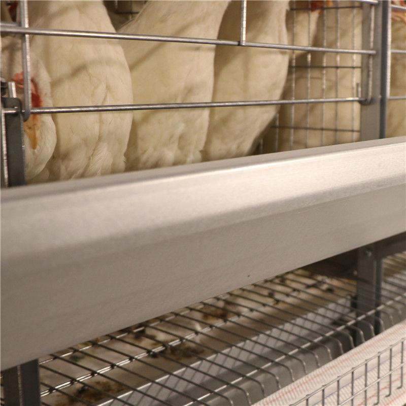 Resistencia de la corrosión de la granja avícola de la jaula del pollo de la capa de la batería del huevo del SGS