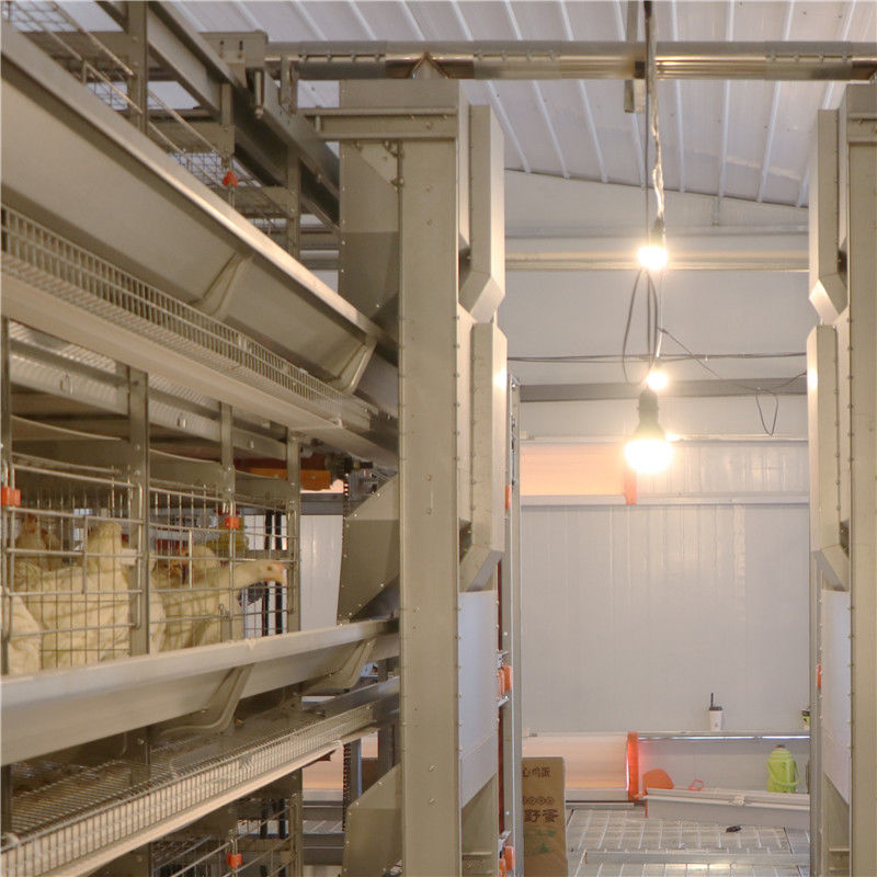 El tipo 256 pájaros de H/fijó la avicultura automatizada del sistema de la jaula de batería