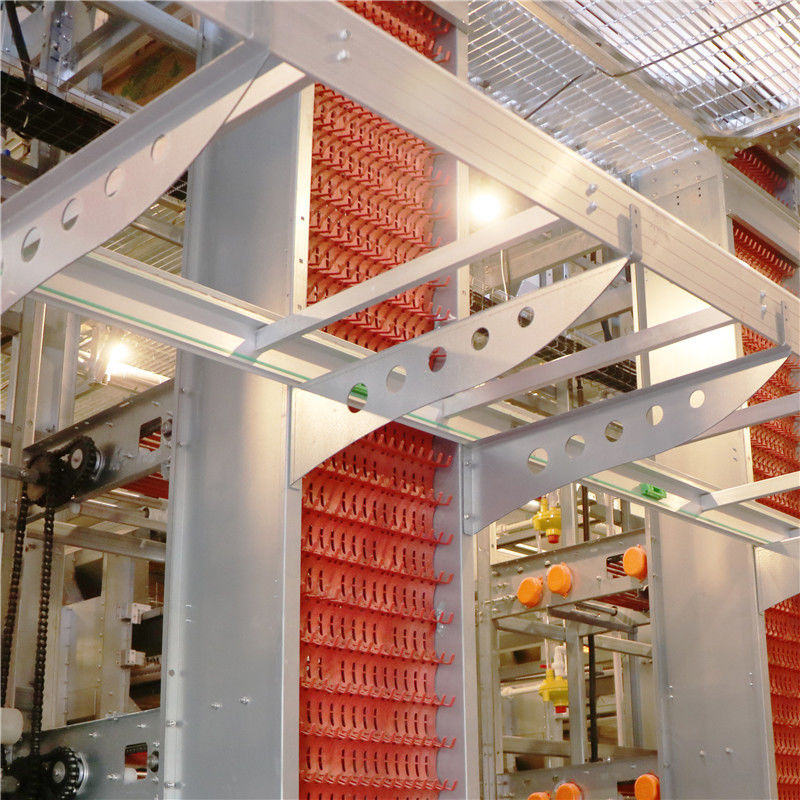 El tipo 256 pájaros de H/fijó la avicultura automatizada del sistema de la jaula de batería