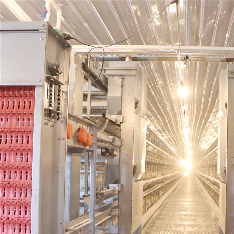 El tipo 256 pájaros de H/fijó la avicultura automatizada del sistema de la jaula de batería