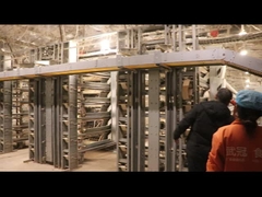 Jaula automática para codornices ponedoras